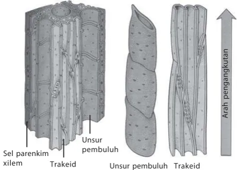 Gambar 2.10