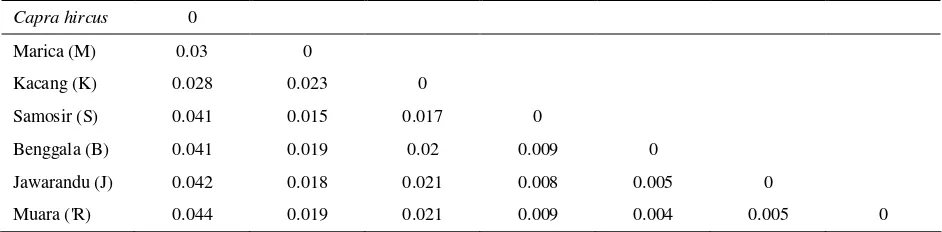 Tabel 3. Keragaman susunan nukleotida pada 6 kambing lokal Indonesia dan Capra hircus (AF533441) dari GenBank 