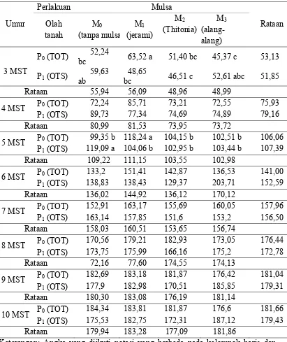 Tabel 1. Rataan tinggi tanaman (cm) pada olah tanah dan mulsa pada umur      3 – 10 MST 