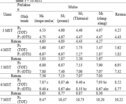 Tabel 2. Rataan jumlah daun (helai) pada perlakuan olah tanah dan mulsa pada 