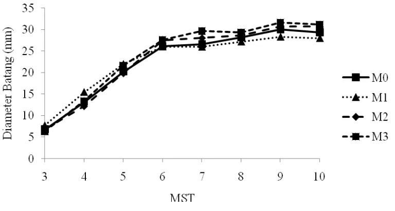 Gambar 8. Grafik diameter batang 3- 10 MST pada perlakuan mulsa 