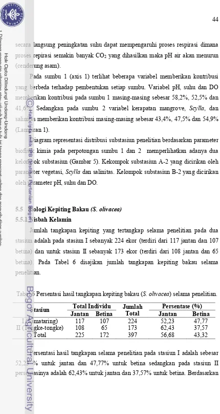 Tabel 6 Persentasi hasil tangkapan kepiting bakau (S. olivacea) selama penelitian.
