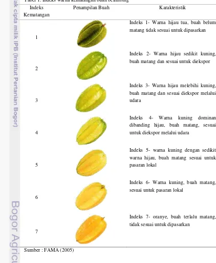 Tabel 1. Indeks warna kematangan buah belimbing  