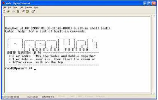 Gambar 4.8 tty/0 (konsol) 