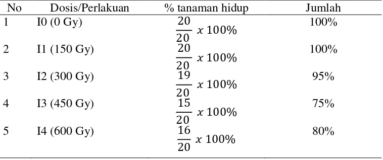 Tabel 1. Persentase perkecambahan tanaman umur 3 MST 