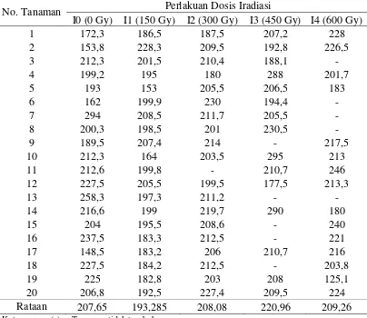 Tabel 2. Rataan tinggi tanaman (cm) pada dosis iradiasi sinar gamma umur 17 MST 