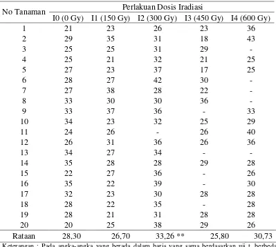 Tabel 3. Jumlah cabang (cabang) pada dosis iradiasi sinar gamma umur 17 MST 