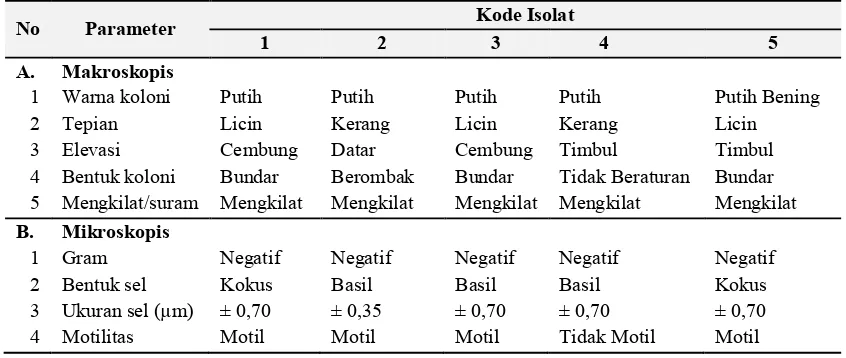 Tabel 1. Karakteristik Makroskopis dan Mikroskopis Isolat Bakteri Indigen 