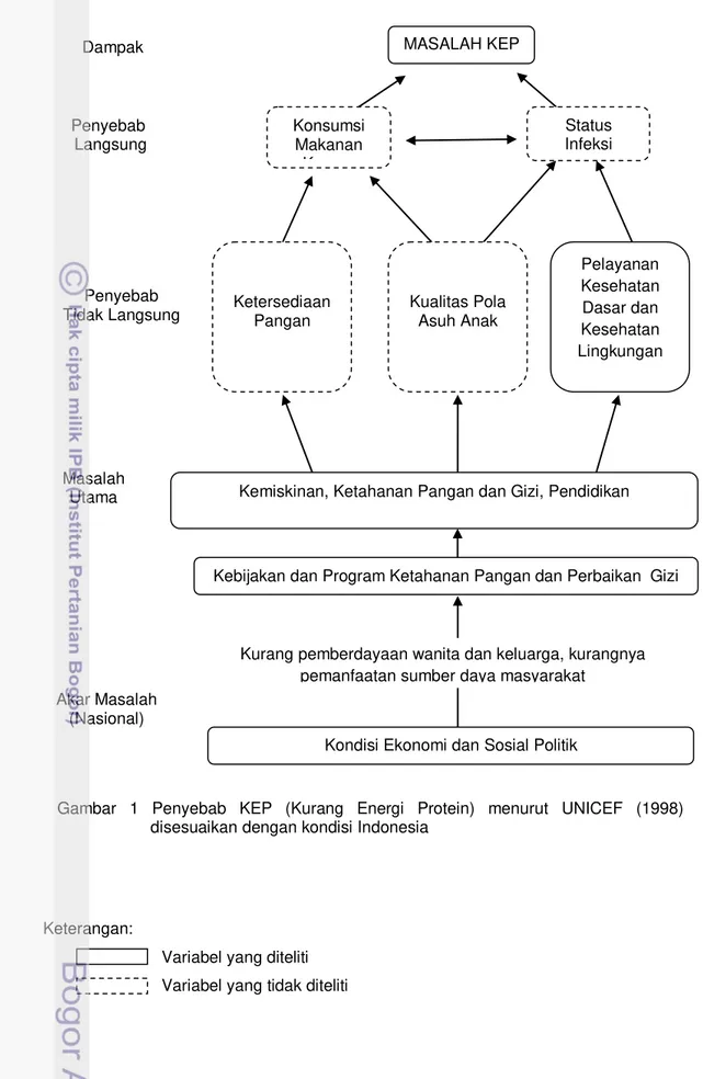 Gambar  1  Penyebab  KEP  (Kurang  Energi  Protein)  menurut  UNICEF  (1998)  disesuaikan dengan kondisi Indonesia 