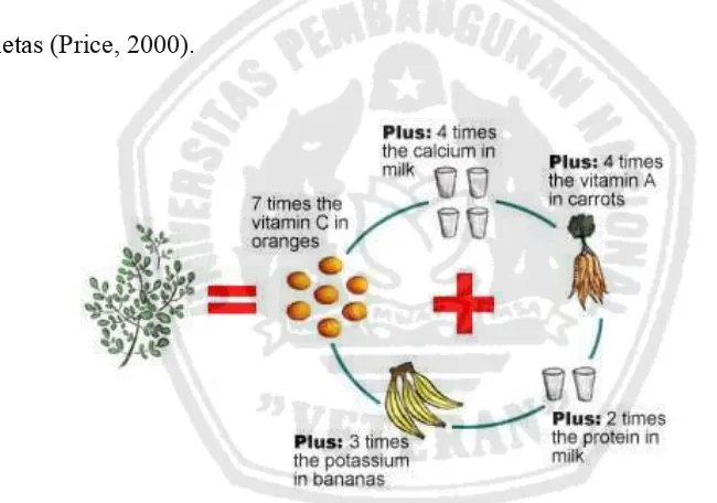 Gambar 2. Perbandingan nutrisi antara daun kelor dengan beberapa bahan pangan lain (Anonim,2008) 