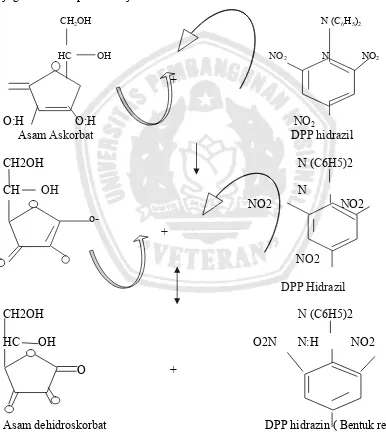 Gambar 5. Mekanisme penangkap radikal Vitamin C dengan metode DPPH 