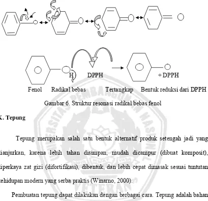 Gambar 6. Struktur resonasi radikal bebas fenol 