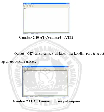 Gambar 2.10 AT Command – ATE1 