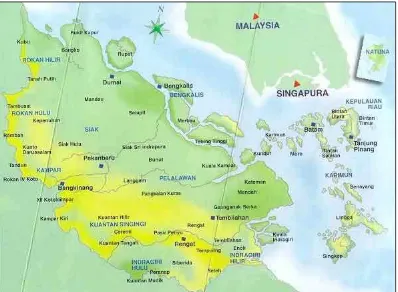 Gambar C.1 Peta Riau 