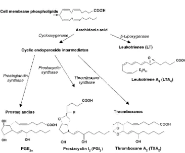 Fig. 1.16. Synthesis of eicosanoids.