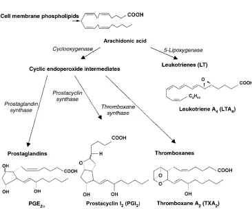 Fig. 1.16. Synthesis of eicosanoids.