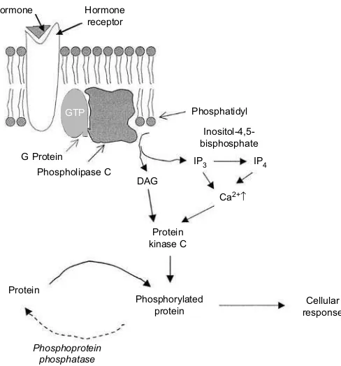 Fig. 1.23. Action of phospholipase C.