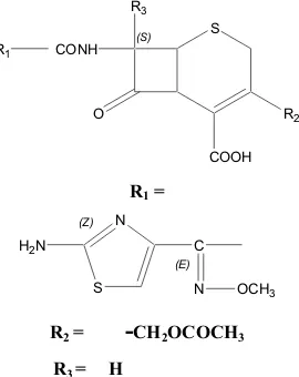 Gambar 4. Struktur Cefotaxim (Katzung, 2004)
