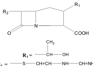 Gambar 5. Struktur Imipenem (Katzung, 2004) 