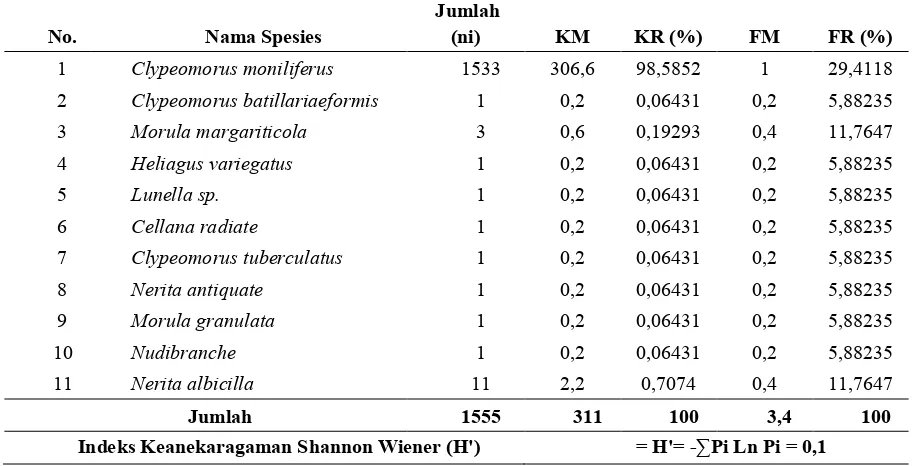 Tabel 3.2 Populasi Gastropoda di Pantai Cigebang pada Transek I 