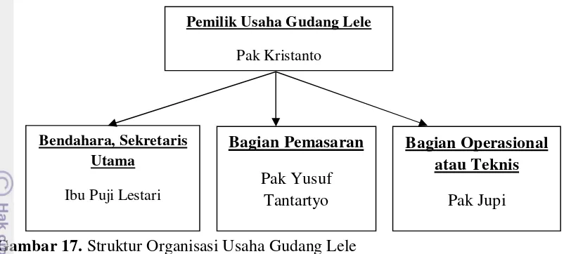 Gambar 17. Struktur Organisasi Usaha Gudang Lele 
