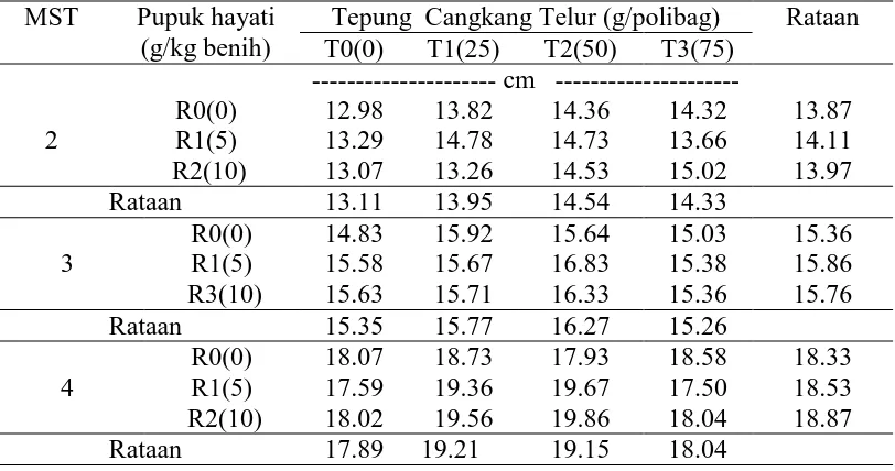 Tabel 2. Pengaruh pemberian tepung cangkang telur dan pupuk hayati pada tinggi tanaman 2 – 4 MST MST Pupuk hayati Tepung  Cangkang Telur (g/polibag) Rataan 