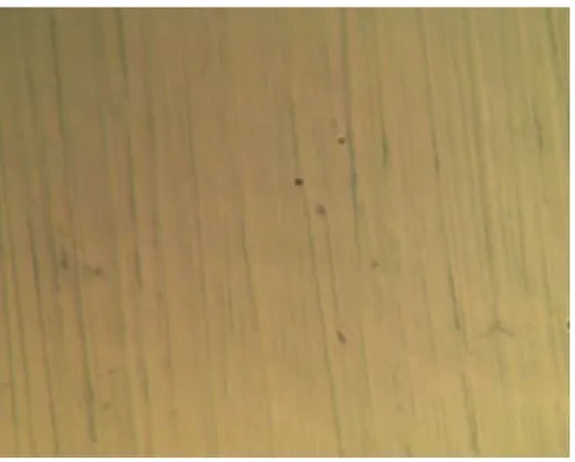 Gambar 5a. Foto Mikroskop dengan Perbesaran 400 Kali pada Permukaan Sampel Baja Karbon Sebelum Pemaparan (Blanko) 