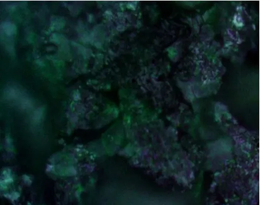 Gambar 5c. Foto Mikroskop Baja Karbon Setelah Pemaparan dengan Larutan HCl 1 M dengan Penambahan Tiourea 500 ppm dalam Waktu Pemaparan 30 Jam dan Suhu 30oC 