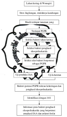 Gambar 3. Bagan kerangka pemikiran 