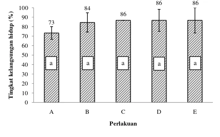 Gambar 1. Tingkat kelangsungan hidup ikan nila setelah selesai perlakuan pakan 