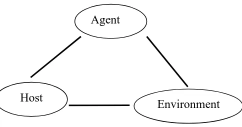 Gambar 2. Model Agens-Penjamu-Lingkungan (Sumber: Fundamental of Nursing,2005) 