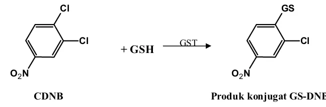 Gambar 7. Reaksi Konjugasi GSH dengan substrat DCNB