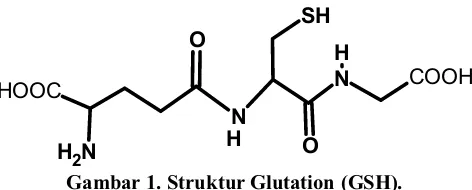 Gambar 1. Struktur Glutation (GSH).