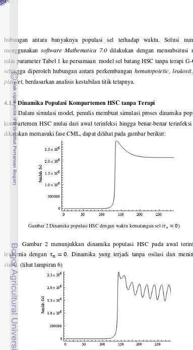 Gambar 2 Dinamika populasi HSC dengan waktu kematangan sel (    � 