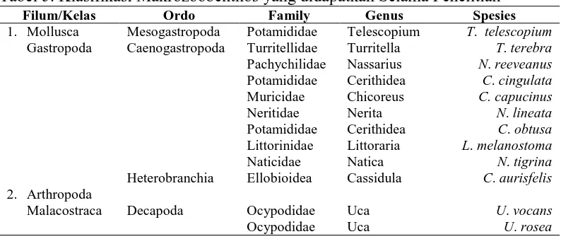 Tabel 5. Klasifikasi Makrozoobenthos yang didapatkan Selama Penelitian Filum/Kelas Ordo Family Genus Spesies 