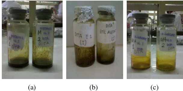 Gambar 6 Ekstrak kasar metanol (a), etil asetat (b) dan n-heksana (c) 