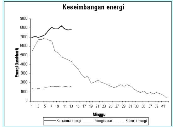 Gambar  2.  Grafik Keseimbangan Energi pada Induk Kambing Perah Laktasi