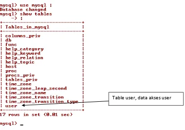 Table user, data akses user 