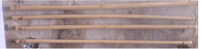Gambar 3.5.  Bambu ater yang digunakan berdiameter 0.5cm 