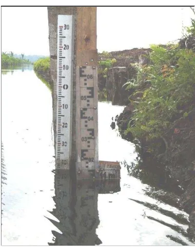 Gambar 11. Water Level yang Diletakkan Pada Kanal Utama Divisi I