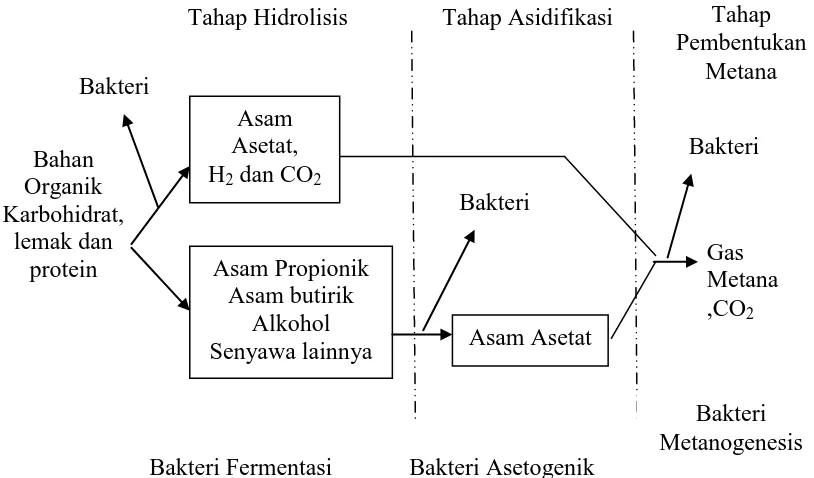 Gambar II.1Tahapan ProsesPembentukan Biogas (Sufyandi, A., 2001) 