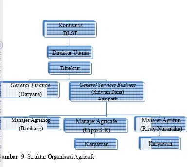 Gambar 9. Struktur Organisasi Agricafe. Struktur Organisasi Agricafe