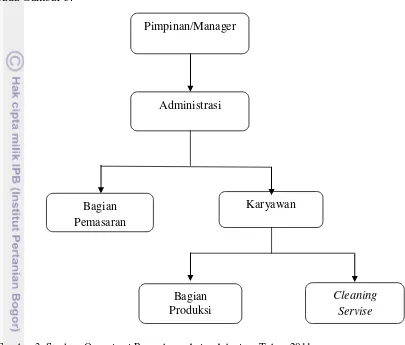 Gambar 3. Struktur Organisasi Perusahaan Anisa Adenium Tahun 2011  