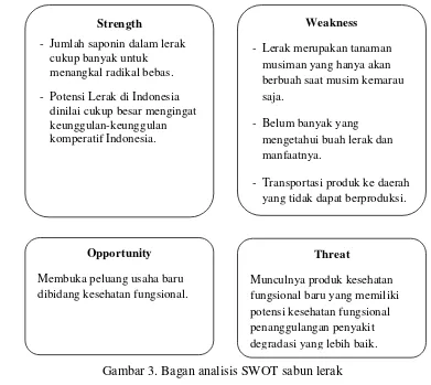 Gambar 3. Bagan analisis SWOT sabun lerak 