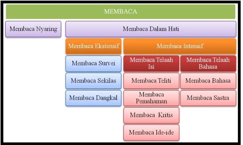 Gambar 1. Kategorisasi Membaca 
