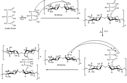 Gambar 4.6. Reaksi Pembentukan Selulosa Sitrat melalui Esterifikasi Selulosa ( 