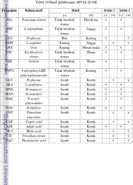 Tabel 10 Hasil pembacaan API kit 20 NE 