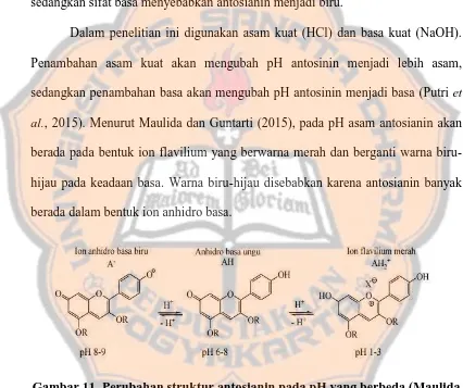 Gambar 11. Perubahan struktur antosianin pada pH yang berbeda (Maulida dan Guntarti 2015)