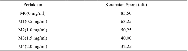 Tabel 5. Kerapatan  Spora Cylindrocladium sp. 