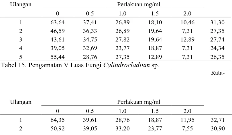 Tabel 15. Pengamatan V Luas Fungi Cylindrocladium sp. 